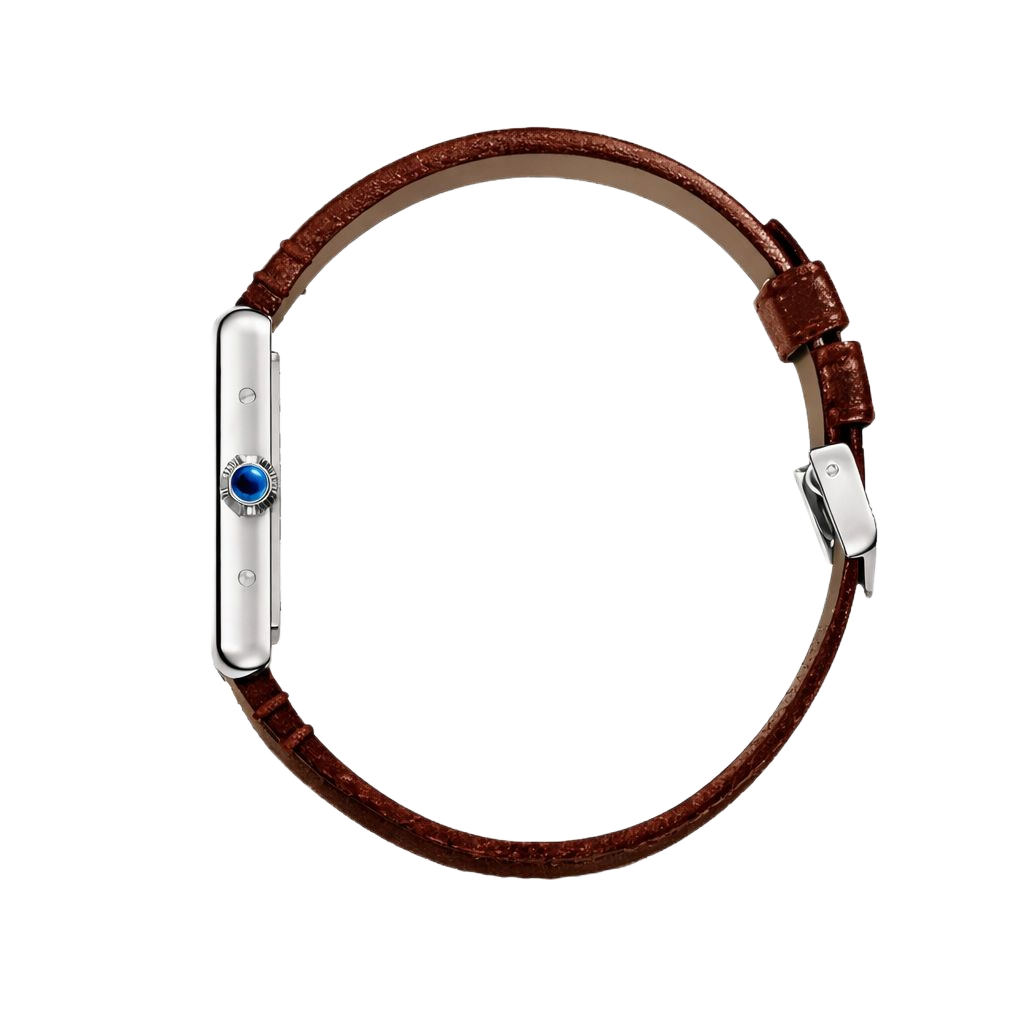 Cartier Tank Brown/Silver Men